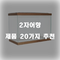 [베스트 순위] 2자어항 제품 모음추천 순위 리스트 확인해보세요~ 