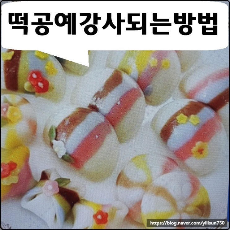  떡공예 강사 되는 방법 배우기