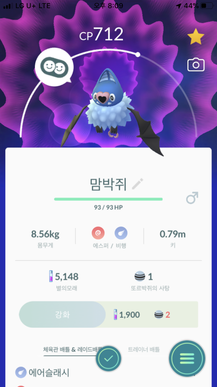  또르박쥐 진화 “맘박쥐”