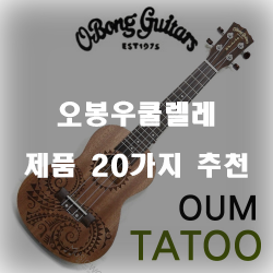  저렴한 오봉우쿨렐레 제품 모음20종류 추천 리스트 
