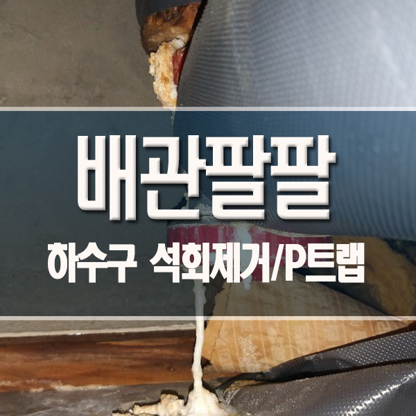  배수구 하수구 석회제거 백화현상 하수구 뚫는 업체 성북구 현장