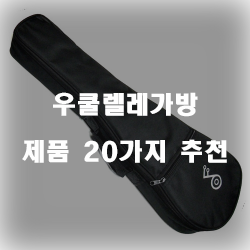  2020년 우쿨렐레가방 제품군추천 리스트 입니다~ 확인해보세요 