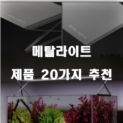  저렴한 메탈라이트 제품 모음순위 입니다. 