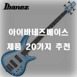  리뷰가 좋은 아이바네즈베이스 상품 모음추천 정보입니다. 