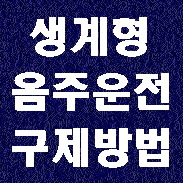  대구 생계형 음주운전자의 이의신청 행정심판 청구서 작성