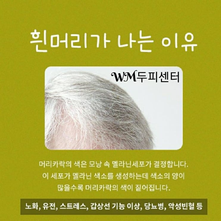  흰머리로 탈모로 고민이 된다면 더블유엠에스테틱 두피센타!!!