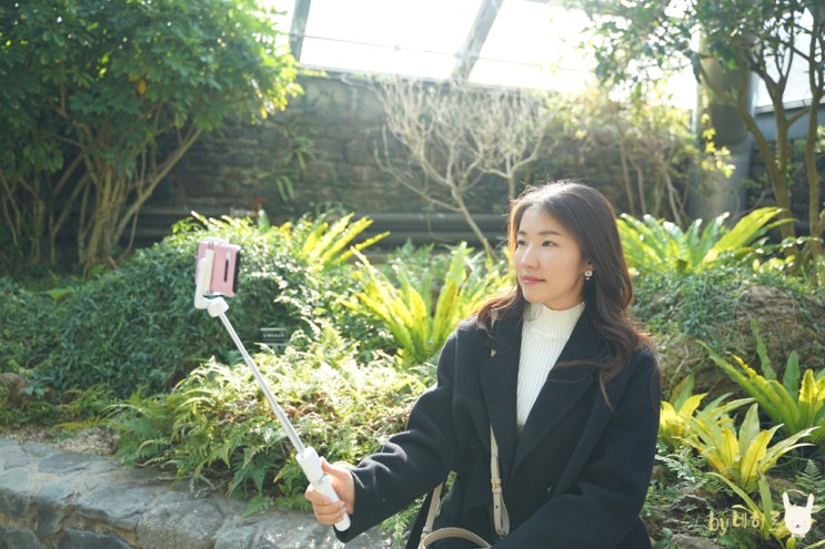  가벼운 스마트폰 삼각대, 셀루미 블루투스 셀카봉삼각대 SEL-BT400P