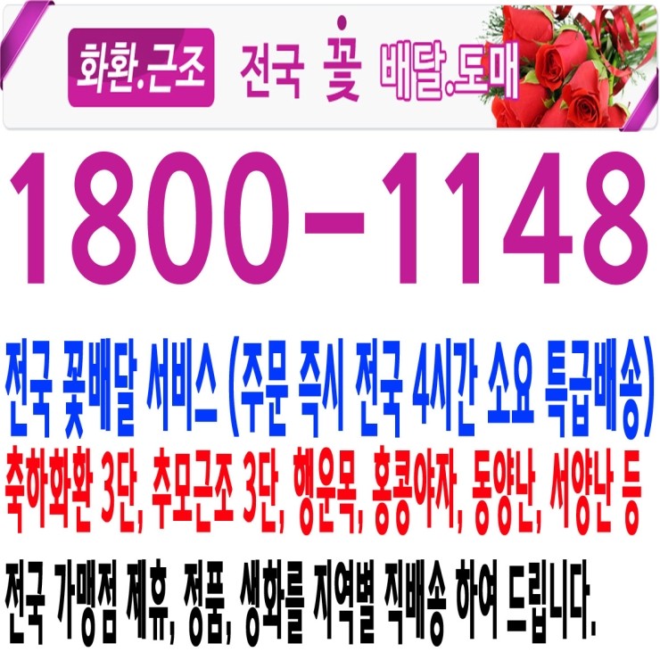 세화병원장례식장 근조화환 1800-1148