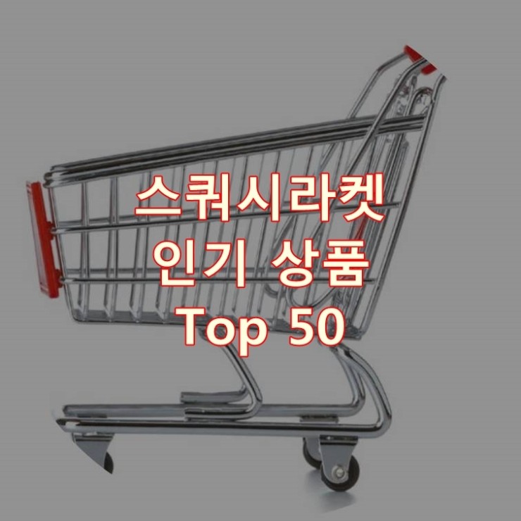  가장 잘 팔리는 스쿼시라켓 추천 상품 Best 50