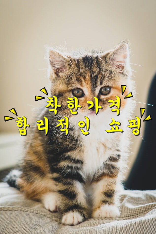  (추천 착한가격)수저세트  판매 랭킹 베스트 10