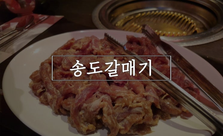  송도갈매기, 기대 이상이잖아?