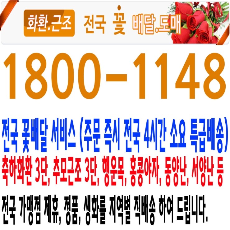 화환,근조 전국 꽃배달 전국 특급배송 전문점 1800-1148