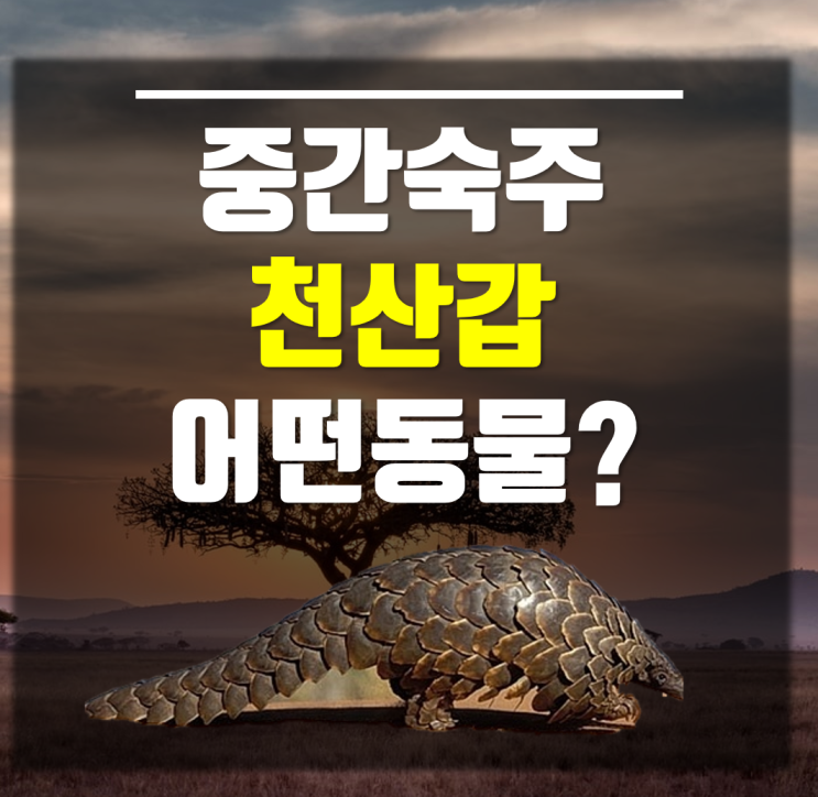  천산갑 어떤 동물? 코로나바이러스 중간 숙주 뜻