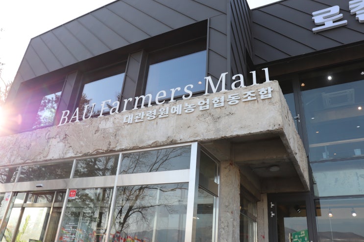  Pooh DS 기행_강원도 평창_평창카페_바우파머스몰(BAU Farmers Mall)
