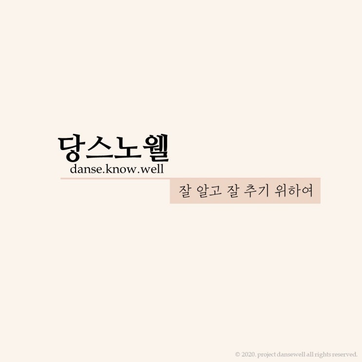  당스노웰 danse. know. well