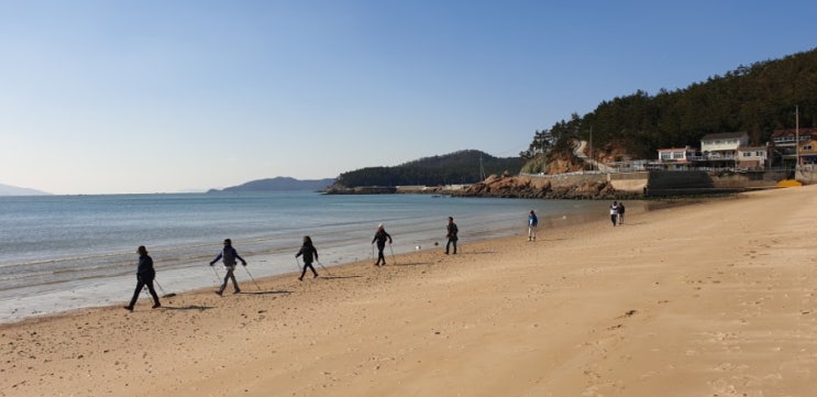 건강에 좋은 운동 노르딕워킹 트레킹