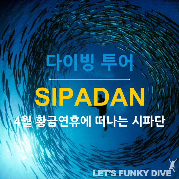  같이가요) 2020년 4월 황금연휴에 떠나는 말레이시아 시파단 다이빙 투어