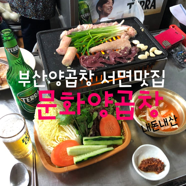  부산양곱창 부산여행필수코스 부산여행맛집으로 손꼽히는 서면맛집 문화양곱창, 서면 디저트 젤라또맛집 디로리 (내돈내산)