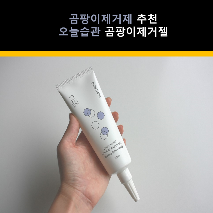  곰팡이 제거하는 법 오늘습관 곰팡이제거제