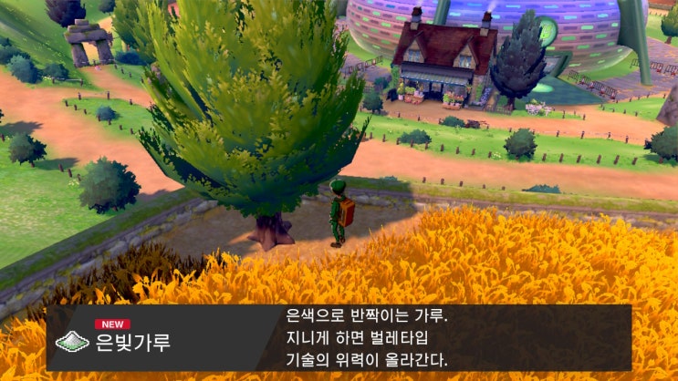  [포켓몬스터 소드] 은빛가루 / 힘의 뿌리 획득