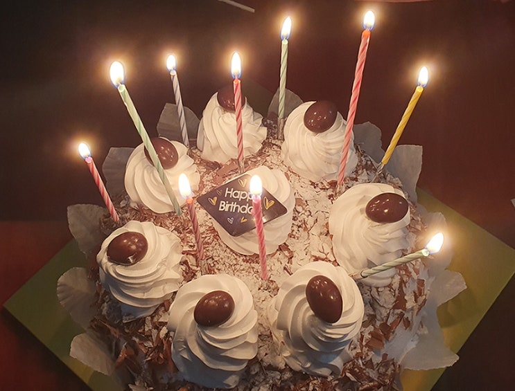  오늘 인선프리 생일 케이크!(초코 생크림 케이크) 2월 9일 생일~