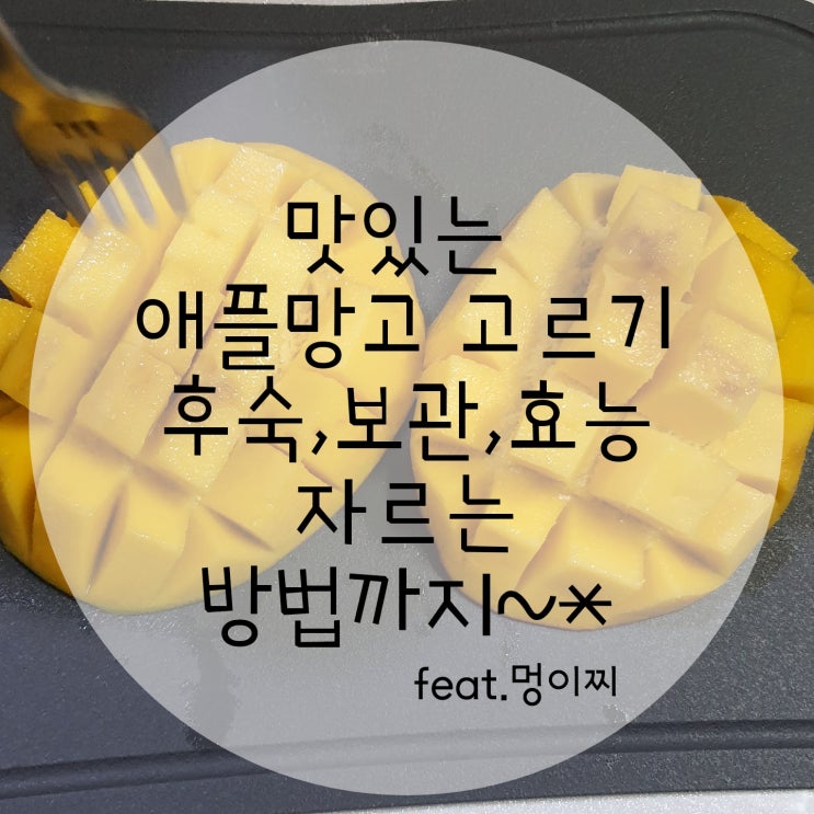  애플망고 후숙/보관/ 자르는 방법