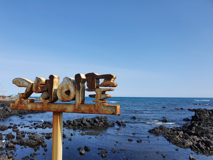  [제주도 겨울여행] 1100고지 / 한라산 영실코스 / 제주도 바닷가 감상 / 달비치카페