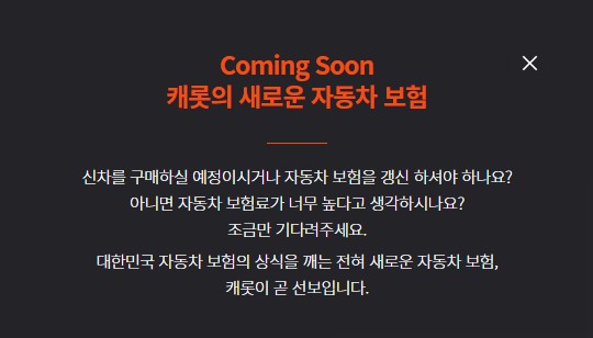 후불제 월납제 자동차보험 케롯손해보험 후불제 월납제 자동차보험 케롯손해보험
