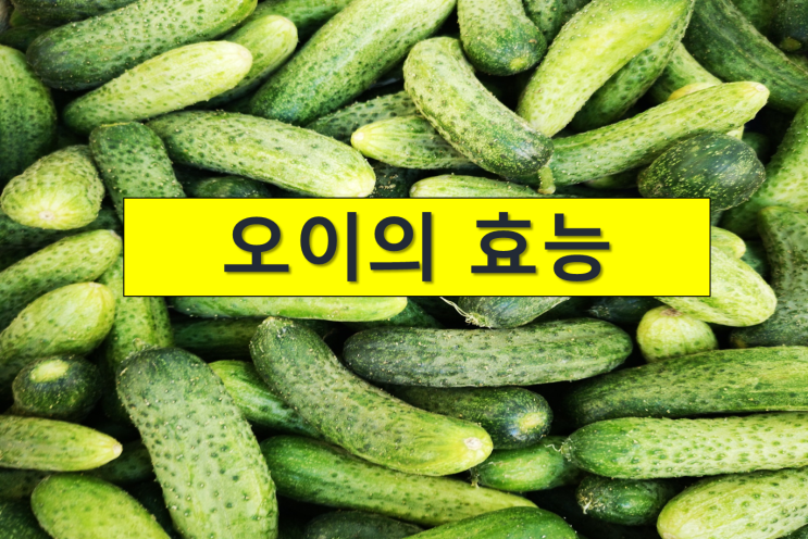  오이의 효능.