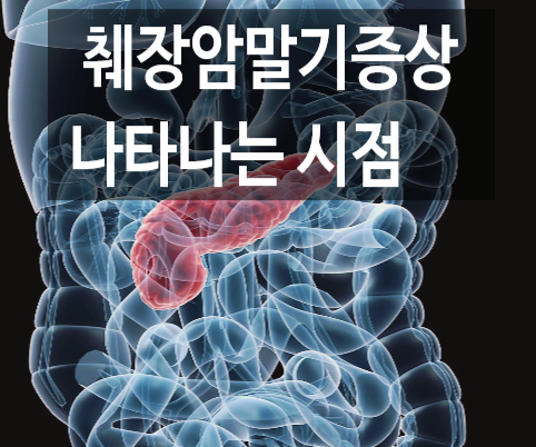 ì·Œìž¥ì•
