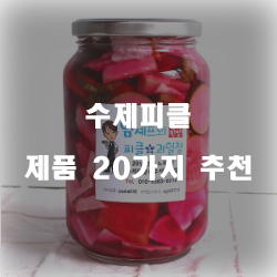  후회없는 선택의 수제피클 물품20가지 리스트 보고가세요~ 