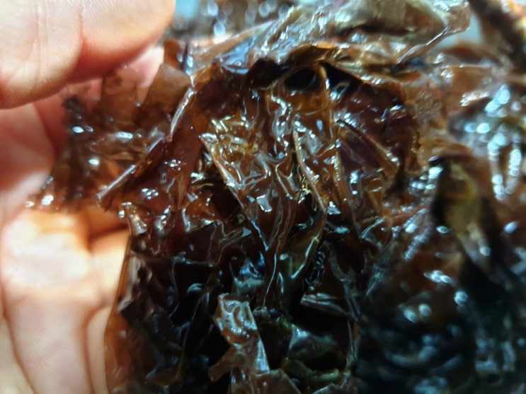  해조류로 숙취에 좋은 음식 만들어보기#완도물김국#완도매생이전