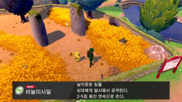  [포켓몬스터 소드] 바늘 미사일 / 리프의 돌 획득