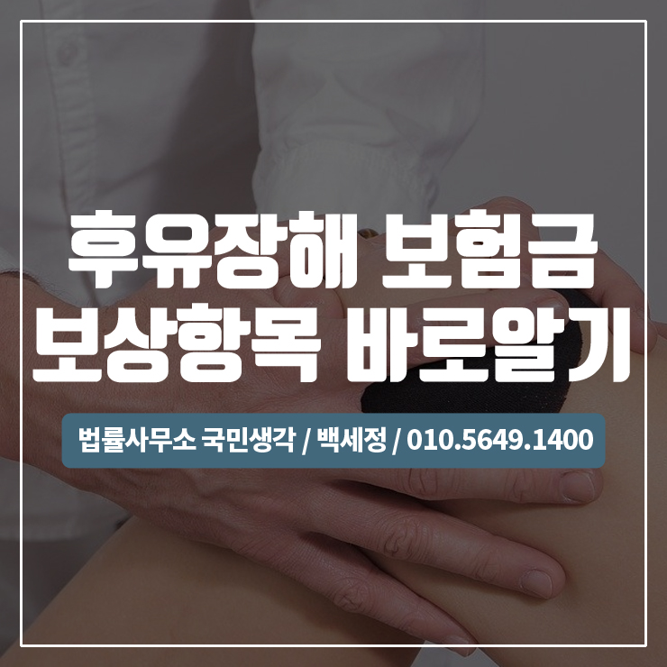  사고로인한 개인보험 후유장해보험금 보상항목 바로알기/ 종합법률사무소 국민생각:백세정