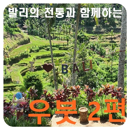  우붓 발리의 전통이 살아 숨 쉬는 곳을 여행하다 2