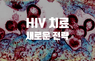 새로운 HIV 은신처 퇴치 전략