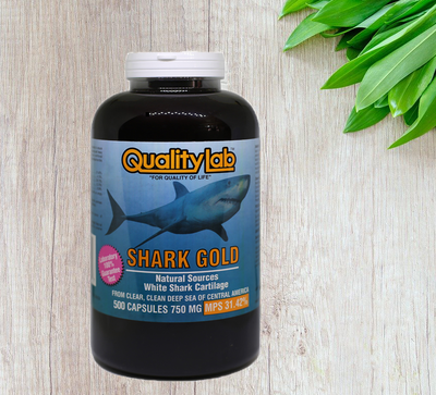  퀄리티 랩 상어연골 샤크 골드 Shark Gold