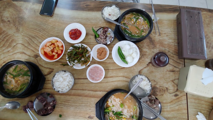  [제주도]2019.05.03 제주도 드라이브 하기