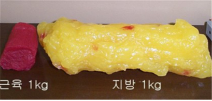  구월동PT [프라이핏짐] 지방과 근육의 크기 차이에 대한 진실!
