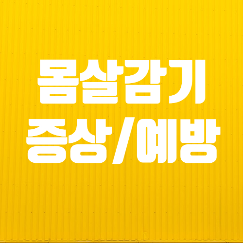  몸살감기증상 초기 알아두어야 할 점
