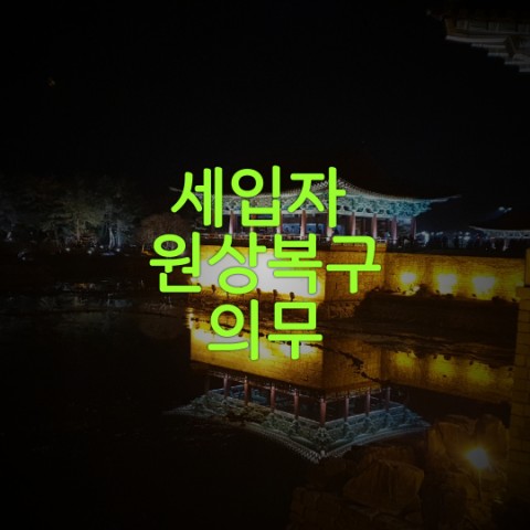  세입자 원상복구 의무와 범위 알아보기