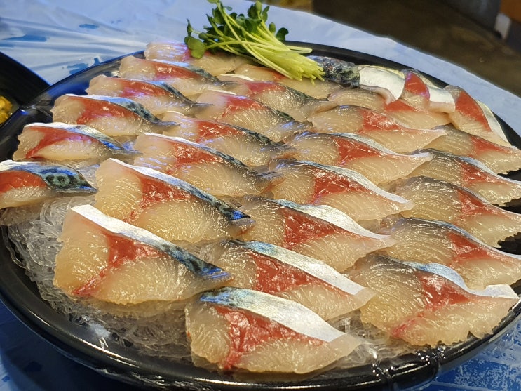  제주시 횟집_ 오늘도 회는 뜬다 : 고등어회랑 딱새우 존맛탱