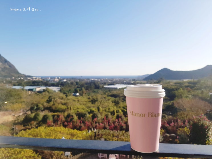  제주도 가볼만한곳 마노르블랑 카페