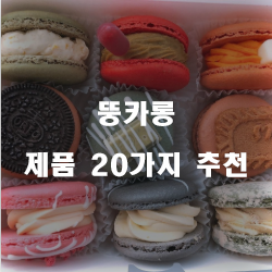  합리적인 선택의 뚱카롱 여기에 있습니다.20종류 추천 리스트 