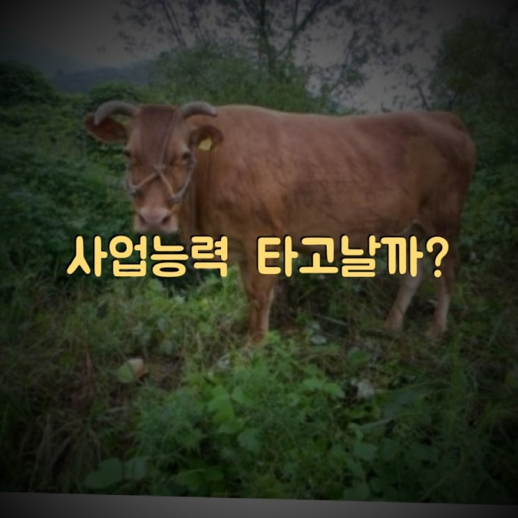  자수성가하셨던 얼굴도 모르는 할아버지의 사업능력
