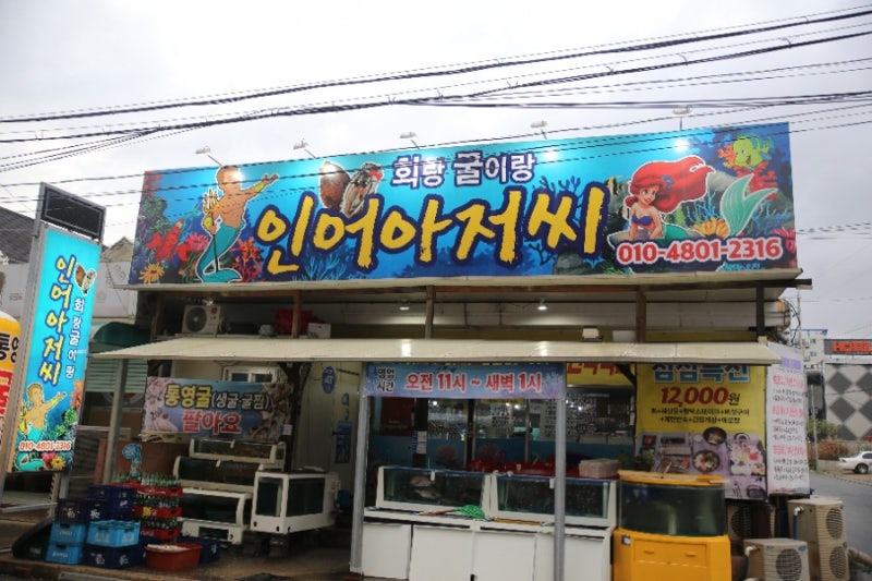 인어아저씨 포항맛집