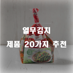  열무김치