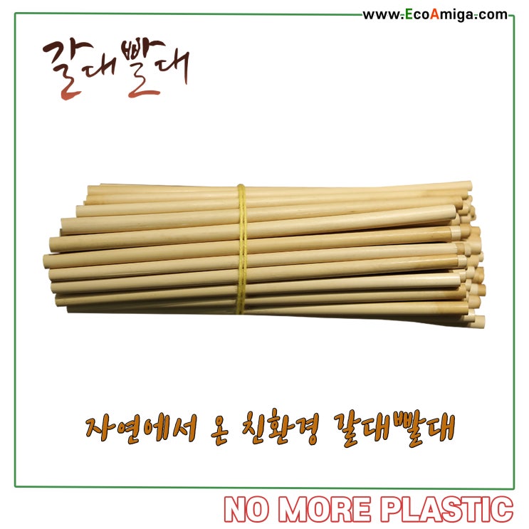  에코아미가 갈대빨대