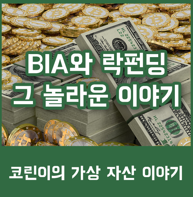  [알아두기] BIA와 락펀딩 (LOKFUNDING)의 만남