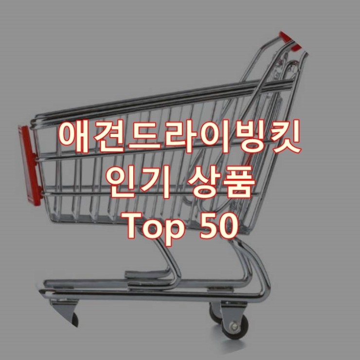  가장 잘 팔리는 애견드라이빙킷 추천 상품 Best 50